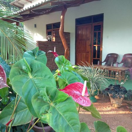 Amaya River Side Homestay Sigirîya Extérieur photo